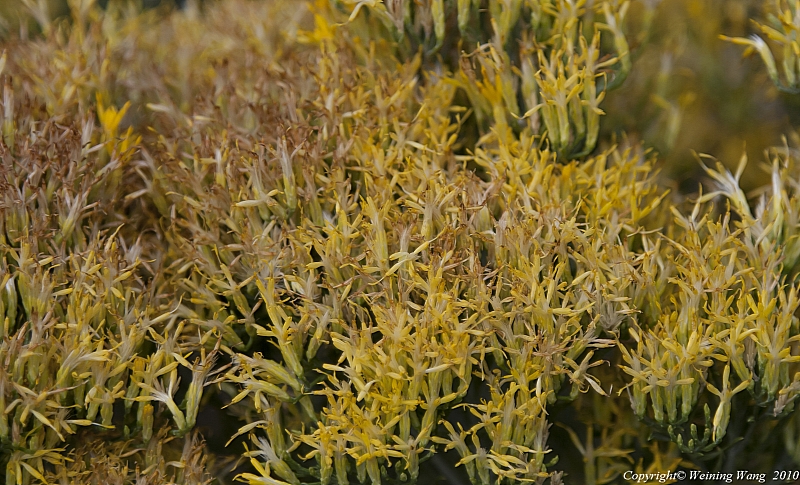 untitled-5833.jpg