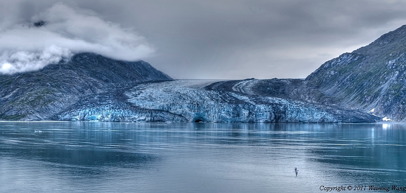Lamplugh_Glacier_1.jpg