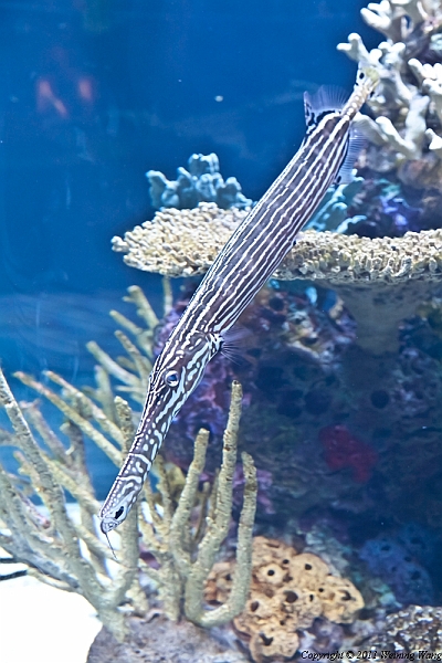 _MG_6735.jpg