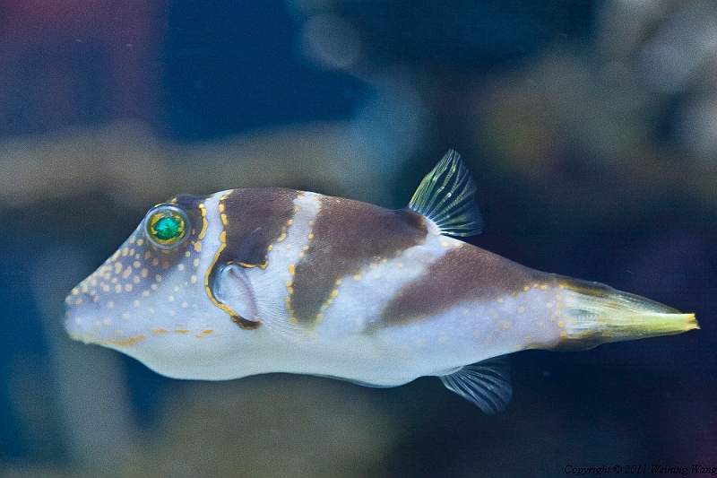 _MG_6748.jpg
