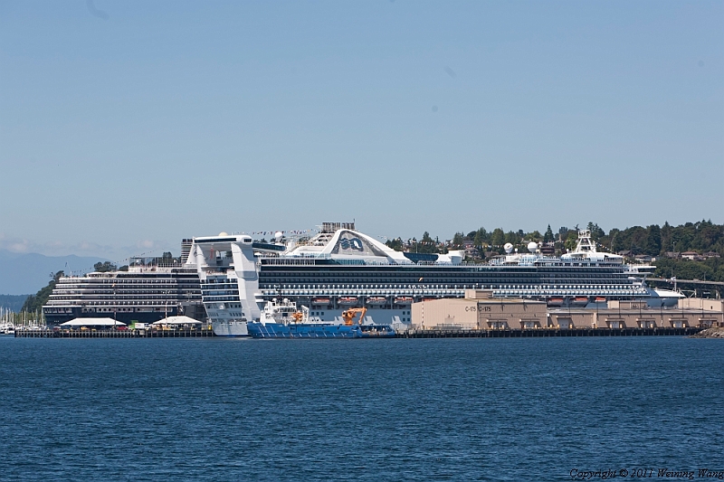 _MG_6890.jpg
