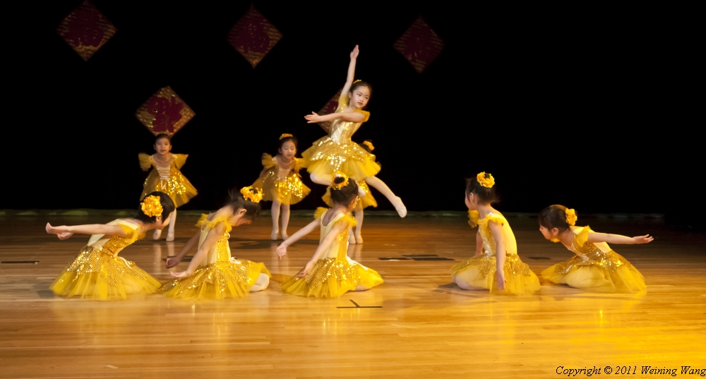 _MG_3216.jpg