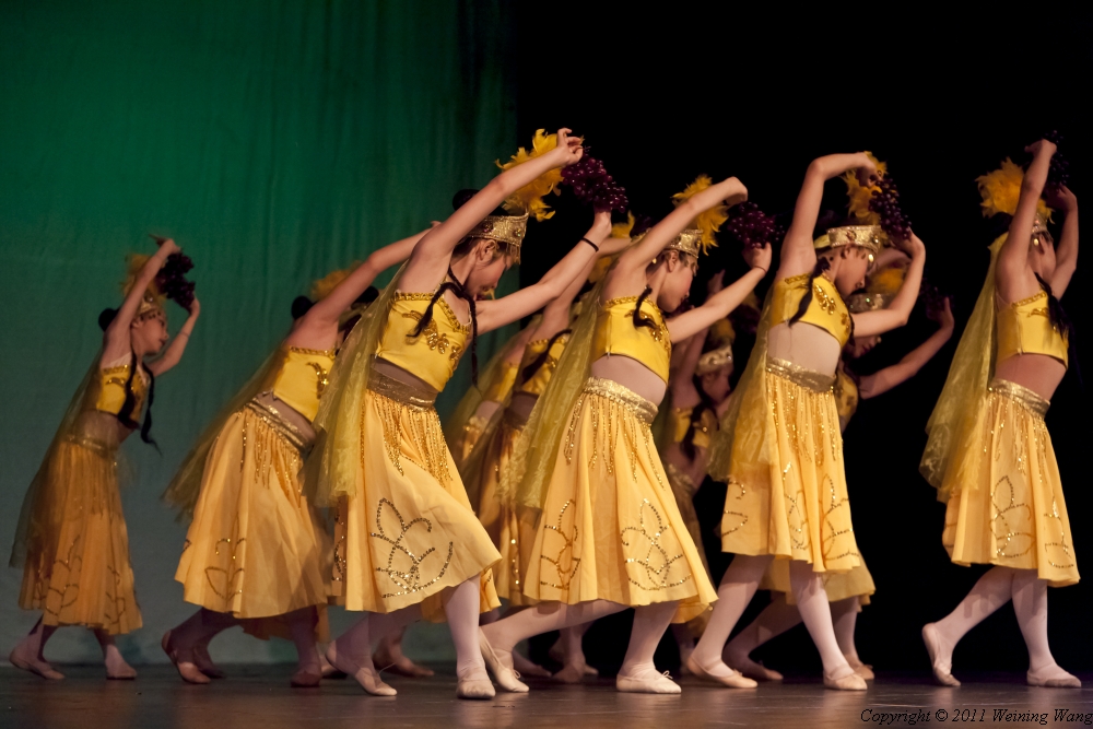 _MG_5426.jpg