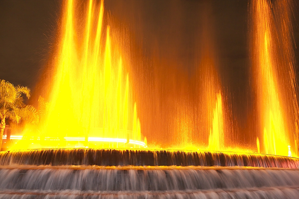 _MG_9792.jpg