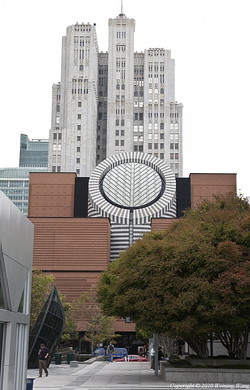 _MG_6556.jpg