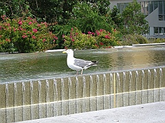 IMG_1129