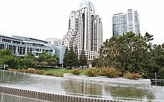 _MG_6548