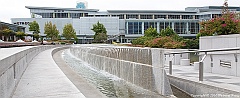 _MG_6552