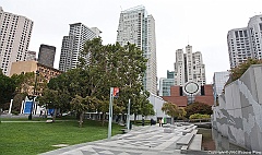 _MG_6563