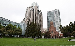 _MG_6565