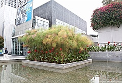 _MG_6571